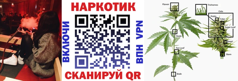 ГАШ Фрязино