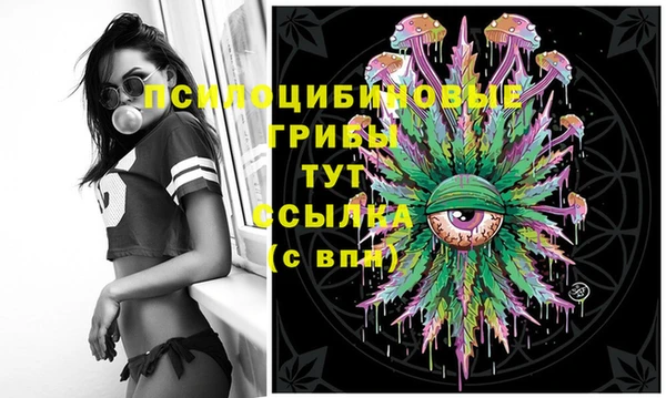 MDMA Куйбышев