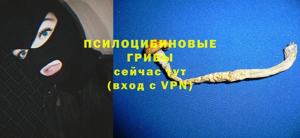 амф Кукмор