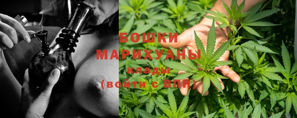 ПСИЛОЦИБИНОВЫЕ ГРИБЫ Кулебаки