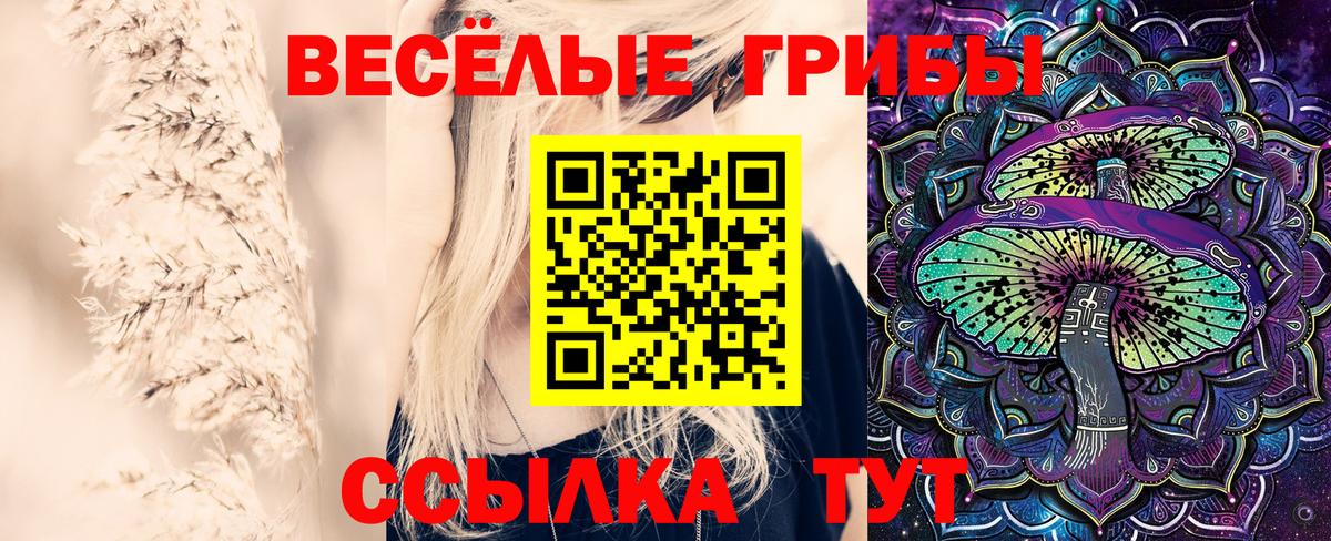 Галлюциногенные грибы Psilocybine cubensis Фрязино