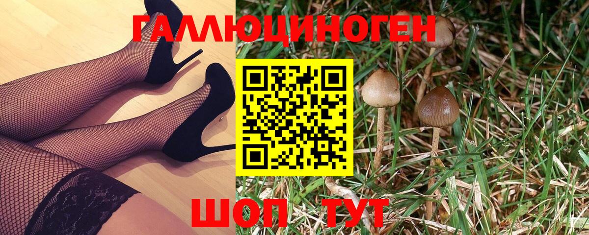 Галлюциногенные грибы мицелий  Фрязино 