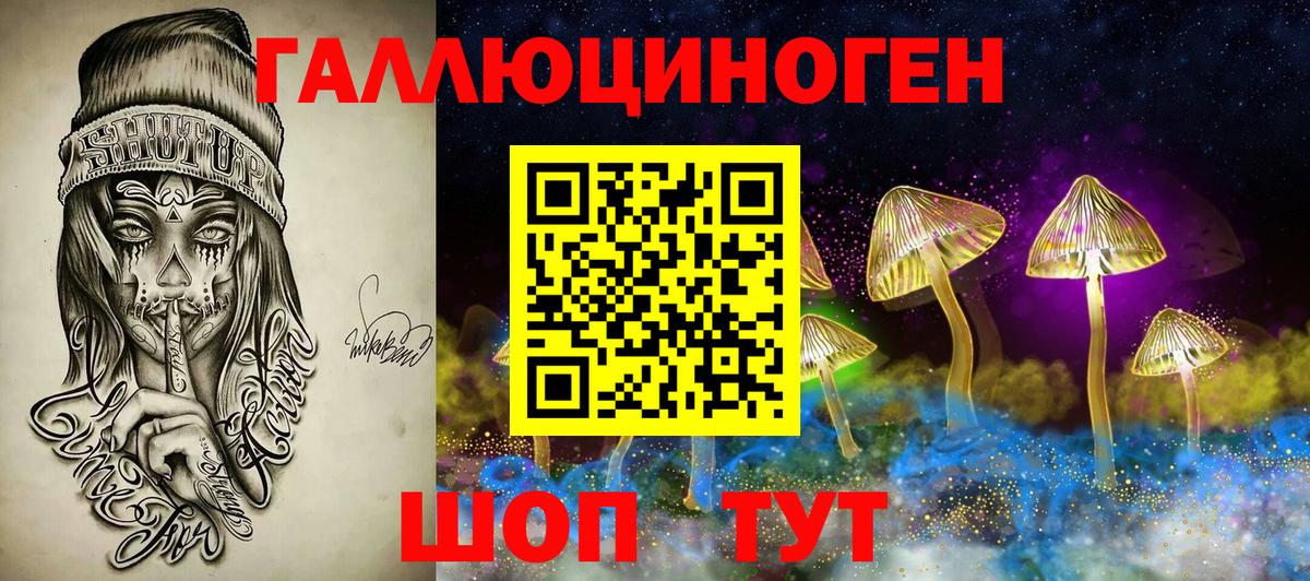 Псилоцибиновые грибы Psilocybe Фрязино