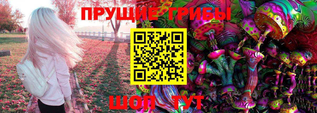 Фрязино  Галлюциногенные грибы Magic Shrooms  Вход с VPN 
