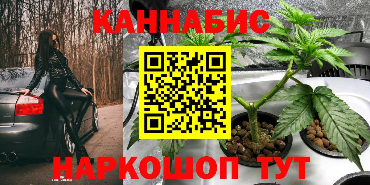 МАРИХУАНА ГИДРОПОН  Фрязино  Бошки Шишки гибрид  Канабис сатива  Бошки Шишки White Widow 